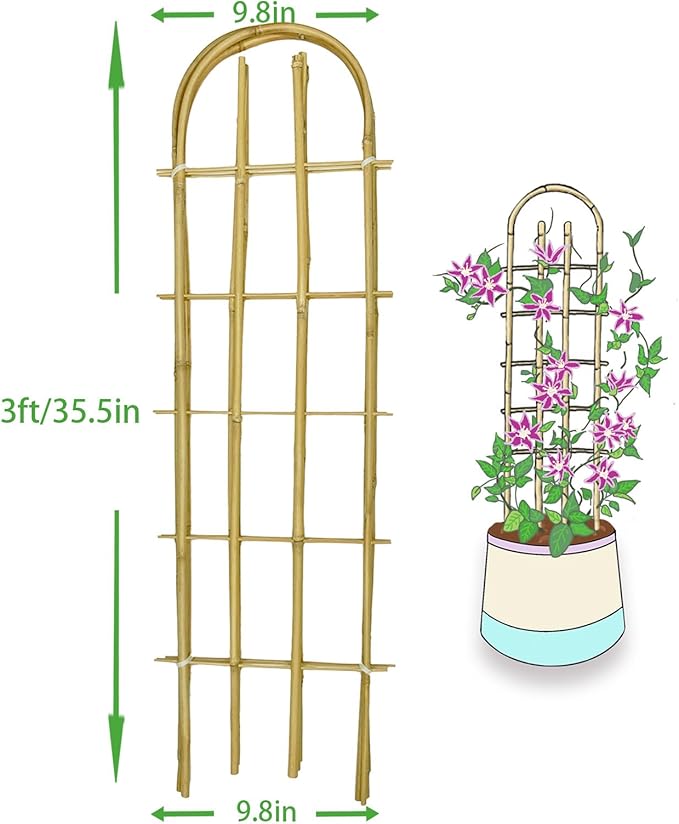 Bamboo Trellis,U-Shape Bamboo Trellis,3Feet,3pack,Trellis for Climbing Plants Outdoor Bamboo,for,Climbing Plants,Tomato, Vegetables,Flowers, Beans, Cucumber,Indoor Potted Climb Plants