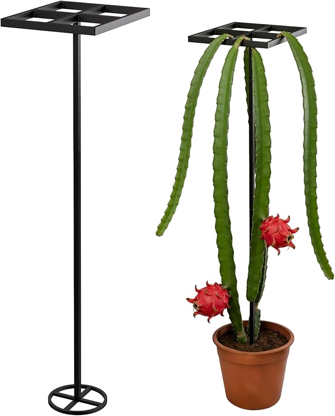 1 Pcs Dragon Fruit Trellis for Climbing Plants, Adjustable Metal Plant Trellis, Outdoor & Indoor Garden Trellis for Potted Plants, Vertical Support for Dragon Fruit, Cactus - Easy Assembly (1 Pack)