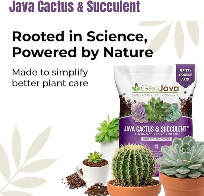 Java Cactus & Succulent Soil: A Gritty, Fast‑Draining, Peat-Free, Ready‑to‑Use Potting Mix for Cacti & Succulents -Keeps Roots Well Aerated for Indoor Pots & Plants. USA Made (6QT)