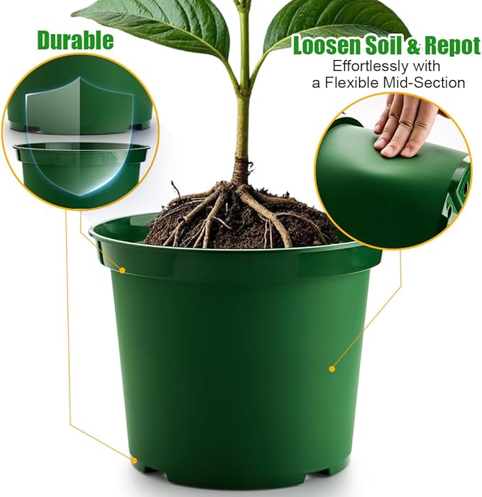 RooTrimmer 3 Gallon Plastic Nursery Pots, 10 Inch Round Plant Pots with Drainage Holes, 10 Pack Planting Pot for Outdoor Indoor Plants, Gardening Gifts for Women, Green