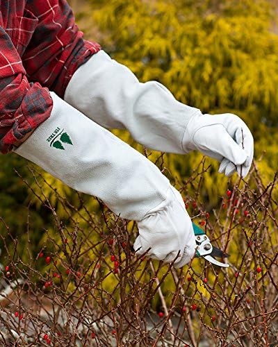 Leather Gardening Gloves by Fir Tree. Premium Goatskin Gloves With Cowhide Suede Gauntlet Sleeves. Perfect Rose Garden Gloves. Men's and Women's Sizes. M-8 (See Size Chart Photo)