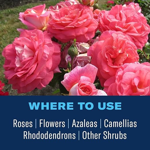 BioAdvanced All-In-One Rose and Flower Care Fertilizer, Granules, 4 lb, Rose Fertilizer and Disease Control