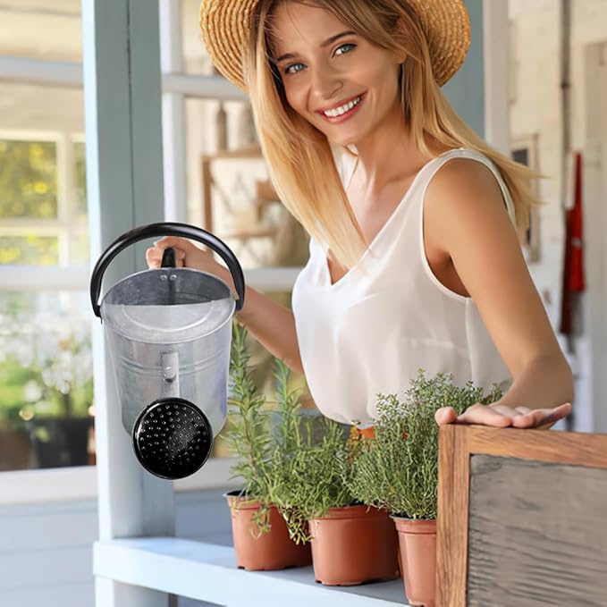 Metal Watering Can with Removable Spout, Galvanized Steel Plants Water Can for Women, Men and Kids' Outdoor or Indoor Gardening - Nice Flower Watering Pot Gift & Decoration (Zinc, 1 Gallon)