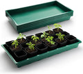 1020 Nursery Pots Trays 5 Pack, Plastic Flat Seed Starter Trays, Durable Seedling Potting Tray for Carrying and Holding Planting Pot (Green)