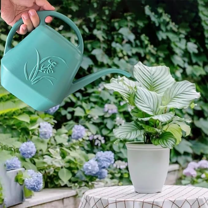 Plastic Watering Can - 1/2 Gallon - Green