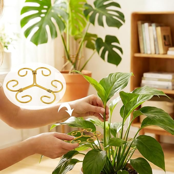 5 Pack Plant Stem Support Set, Reusable Iron Plant Stakes for Indoor Plants, Plant-Support-Stakes for Thriving Growth(Color:Gold)
