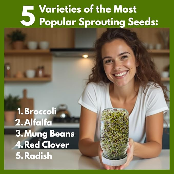 ZestiGreens Sprouting Seed Sampler – 5 Top Varieties (1 Pack Each, 11 g) | Broccoli, Alfalfa, Mung Bean, Clover & Daikon Radish | High-Germination, Perfect for Jars & Trays