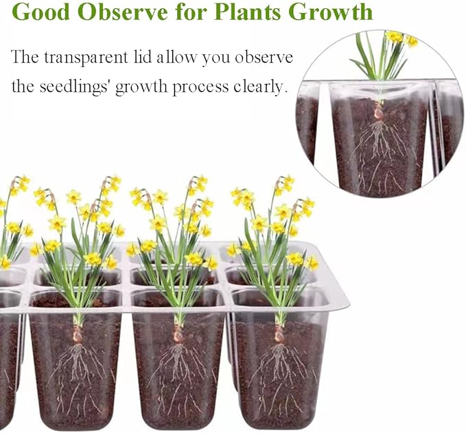 Seed Starter Tray Seedling Kits with Grow Light, 3-Pack Plant Germination Set with Adjustable Humidity Dome and Base Greenhouse Grow Trays for Seeds Growing Starting (12 Cells per Tray)