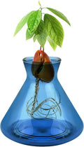 1 PCS Avocado Seed Starter Vases, Avocado Tree Growing Kit Acorn Bulb Vase Grow Glass Avocados Pit Planter Pot Blue Hydroponics Container for Gardening Lover