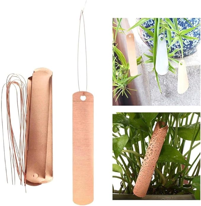 100 Pcs Metal Plant Labels Copper Tree Tags Metal Garden Tags Reusable Plant Markers for Outdoor Greenhouse Vegetables Flower Identification