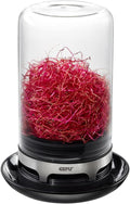 SPROUTING JAR (Black)