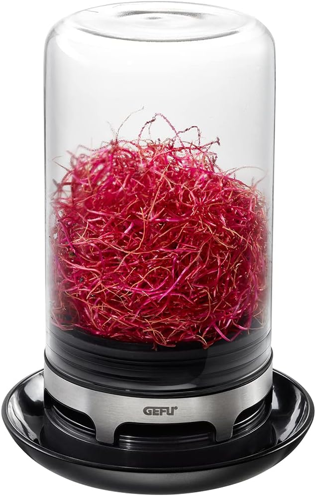SPROUTING JAR (Black)