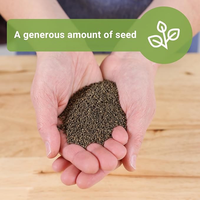 Sow Right Seeds - California Poppy Seeds for Planting - 1 Ounce, 21,000 Seeds - Non-GMO Heirloom Jumbo Pack with Instructions to Grow a Beautiful Flower Garden - Grow an Abundance of Orange Blooms