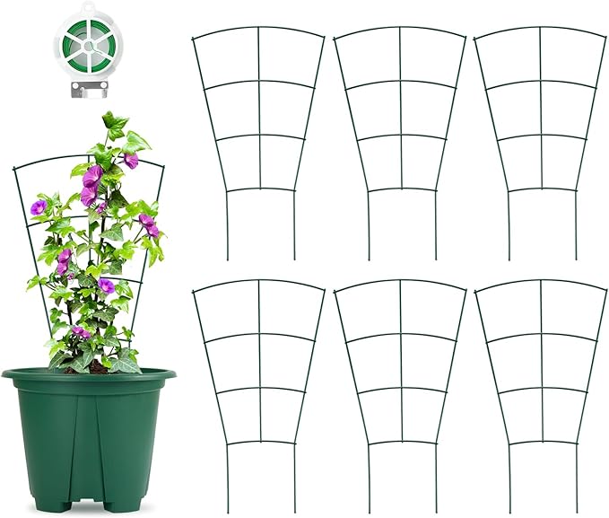 6-Pack Indoor Plant Trellis - 16 Inches, Heavy-Duty Metal for Climbing Houseplants, Flowers, Vines, and Ivy