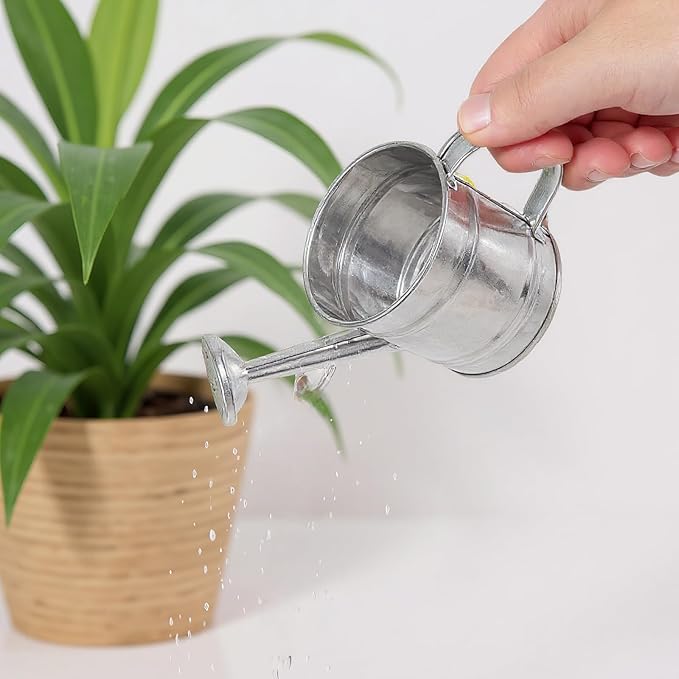 4-Pack Mini Galvanized Metal Watering Cans for Kids Crafts DIY Indoor Plants | Tiny Small Watering Pots for Home Decor Garden Flowers and Plants