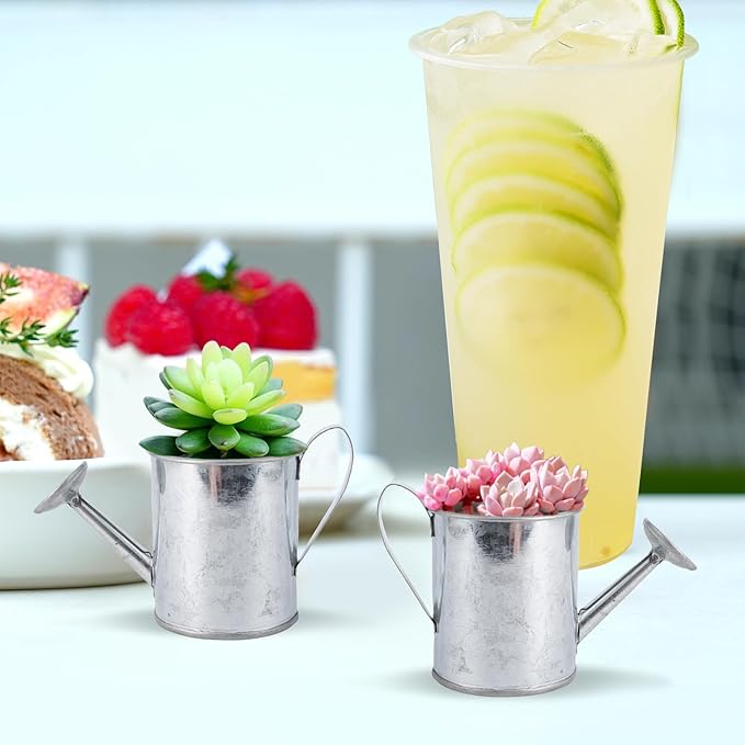 Mini Handmade Decorative Watering Can, Set of 6, Height 2.36 inch, Cute Metal Jug for Hand Crafts,Garden Theme Parties,Home Decor and Accessories of Refrigerator Magnets (Silver, Height 2.36 inch)