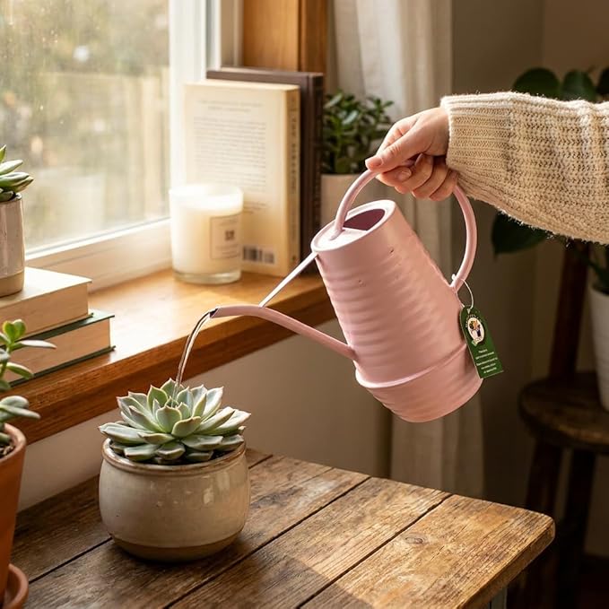 Small Watering Can, Matte Pink (Almost Mauve), 34oz., Metal Watering Can with Long Spout, Nice Indoor Water Can, Plant Water Can for Indoor Plants