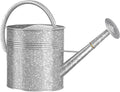 2.5 Gallon Metal Watering Can, Galvanized Watering Can for Outdoor Indoor Plants, Large Water Can for Plants and Garden Flower