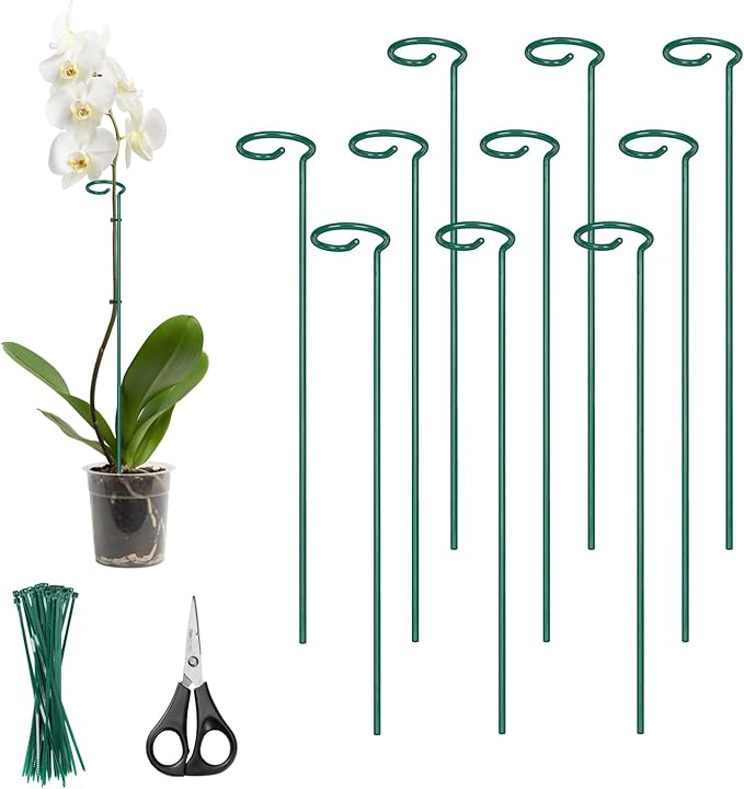 Kingsyard 16 Inch Plant Support Stakes - 10 Pack, 4.5mm Thick All Metal Garden Plant Stakes for Outdoor Plants Single Stem Flowers Dahlia Lily Rose Peony Hydrangea Tomatoes Sunflower Gladiolus