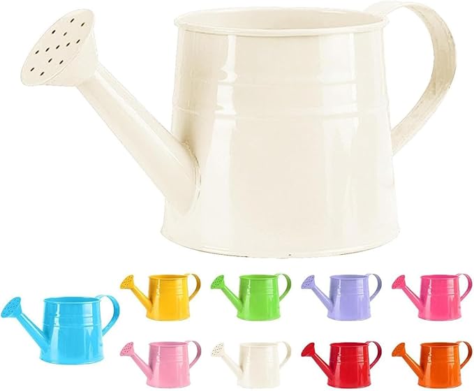 Metal Watering Can - 1L Vintage Sprinkling Can Plant Watering Can for Outdoor Indoor Plants, Tinplate Watering Kettle Gardening Tool, Galvanized Steel Watering Cans for Flowers (White)