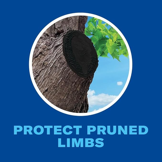 BioAdvanced Tree & Shrub Pruning Seal Spray - Waterproof Protective Seal for Pruned Tree Limbs that Protects Pruned Cuts from Insects and Diseases - 13 oz Can