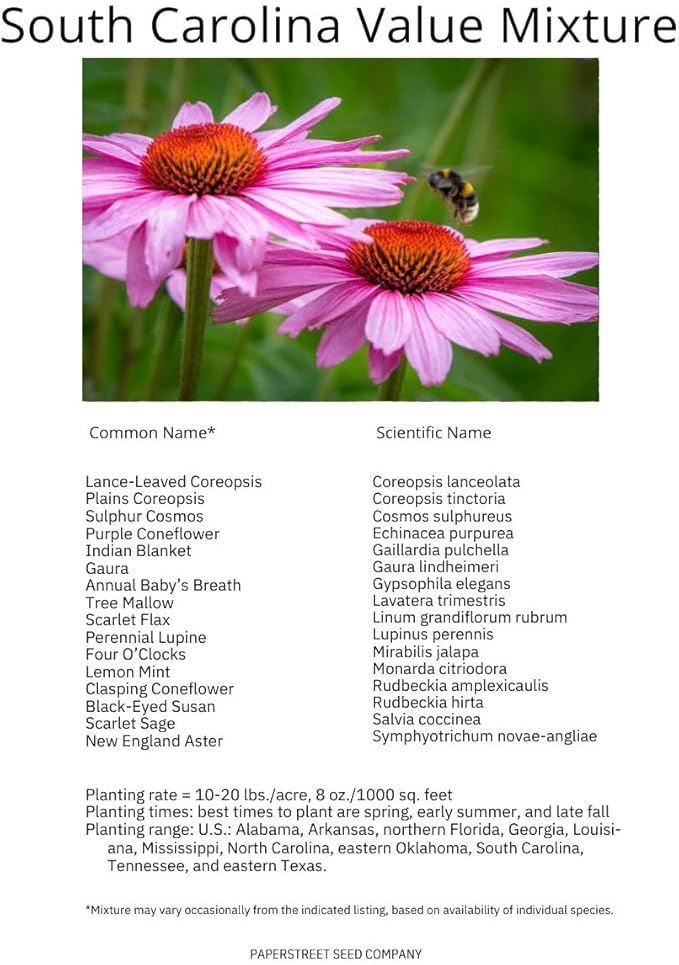 South Carolina Bulk Perennial Wildflower Seed Mix 1lb Covers 2,000sq-ft - Attract Pollinators, Multi-Color Blooms - Southeast US Species Plant in Spring/Fall, Earth-Friendly Packaging (1 Pound)