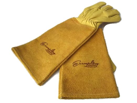 Rose Pruning Gloves for Men and Women - Thorn Proof Goatskin Leather Gardening Gloves with Gauntlet (Medium, Yellow)