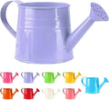 Watering Can, 1L Metal Flower Garden Watering Can, Lightweight Durable Decorative Gardening Tool for Outdoor Indoor Plants Lawn Garden (Purple)