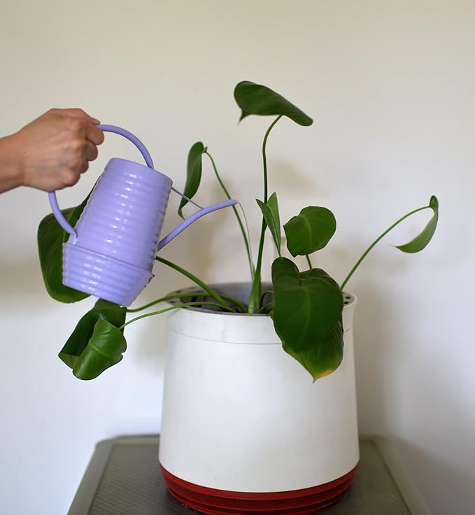 Small Watering Can, 0.3 Gallon/34oz., Violet Purple, Galvanized, Indoor Water Can, Metal Watering Can with Long Spout, Plant Water Can for Indoor Plants