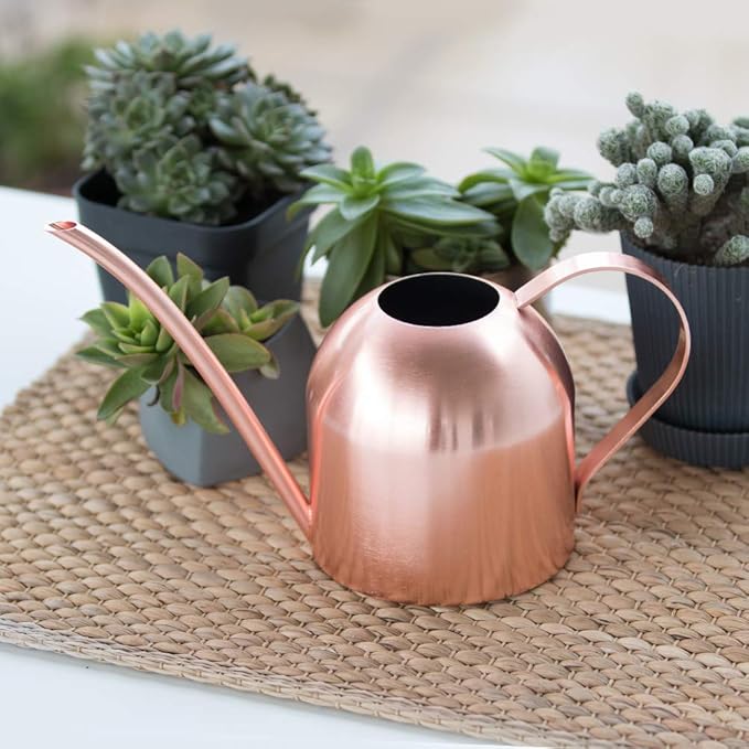 Small Watering Can Indoor Plants Metal Watering Cans 15oz Capacity Cute Design for House Plants & Gardens (Rose Gold 15 oz)