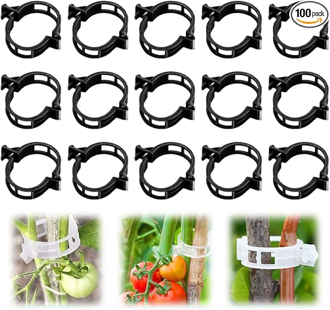 Secured Plastic Plant Clip, 2025 New Garden Plant Support Clips for Climbing Plants, Plastic Trellis Clips Tomato Grape Vine Vegetables Plant Fixing Clips (100, Black)