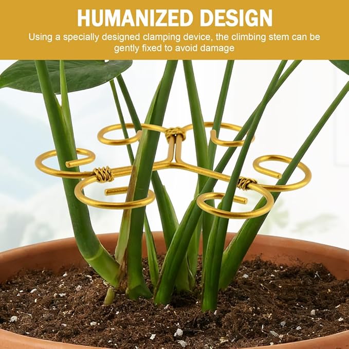 5 Pack Plant Stem Support Set, Reusable Iron Plant Stakes for Indoor Plants, Plant-Support-Stakes for Thriving Growth(Color:Gold)