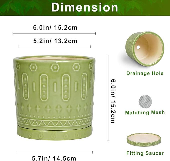 Eightpot Ceramic Pot for Plants - 6 Inch Indoor Planter with Drainage Hole and Saucer, Round Decorative Flower Pots Outdoor, Boho Succulent Planter, Garden Home Decor, Gifts for Plant Lover, Green