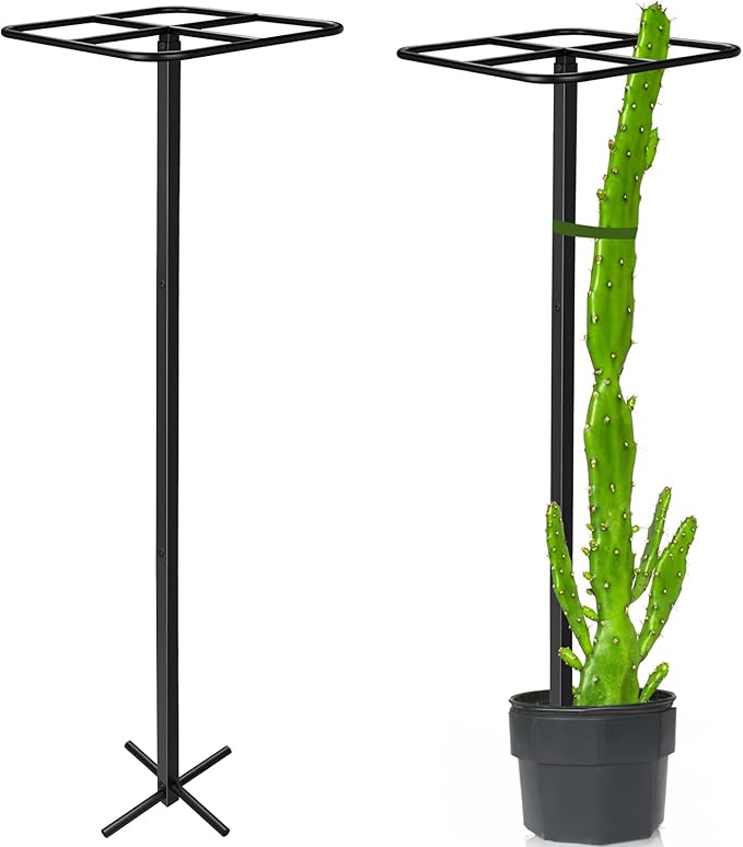 1 Pcs Heavy Duty Dragon Fruit Trellis 12"x12"x50", Adjustable Metal Dragon Plant Support Stand, Durable Vertical Trellis for Climbing Plants, No-Hammer Assembly for Outdoor Garden(Square)
