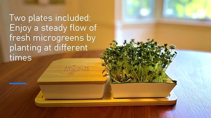 Microgreens Growing Kit. Easy-To-Use, Self-Watering. Includes Two Specially Designed Color-Coded Ceramic Trays With Matching Lids to Create an Optimal Cozy Microenvironment for Seeds; Mats, and a Tray