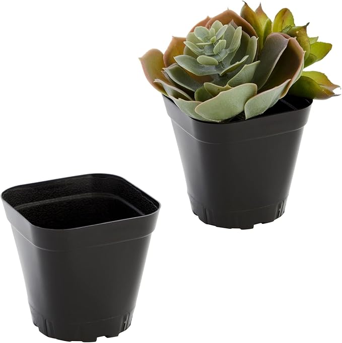Juvale Square Nursery Pots - Seedling Planters with Drainage Holes - Versatile Pots for Plants & Succulents - Space-Saving Stackable Planters - 2.6 in, Pack of 300, Black