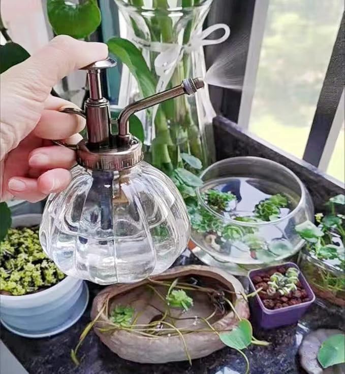Glass Plant Spray Mister, Watering Spray Bottle, 6.4" Tall Vintage Fine Mist Spritzer Watering Can with Bronze Plastic Top Pump, Small Decorative Watering Can for Succulent House Plant (Yellow)