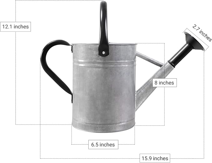 Metal Watering Can with Removable Spout, Galvanized Steel Plants Water Can for Women, Men and Kids' Outdoor or Indoor Gardening - Nice Flower Watering Pot Gift & Decoration (Zinc, 1 Gallon)