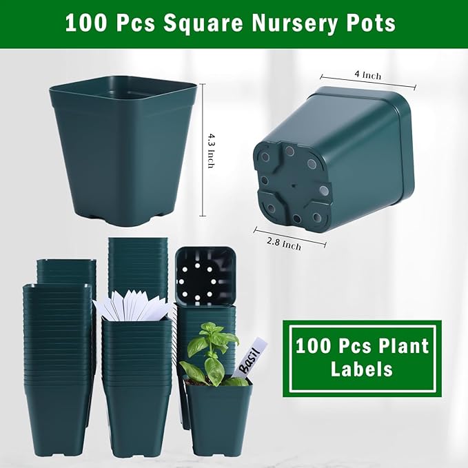 June Fox Small Seedling Pots 4 Inch, 100 Pcs Square Plant Pots Bulk, Plastic Nursery Pots with Drain Holes for Seedlings, Succulents, Cuttings (Green)
