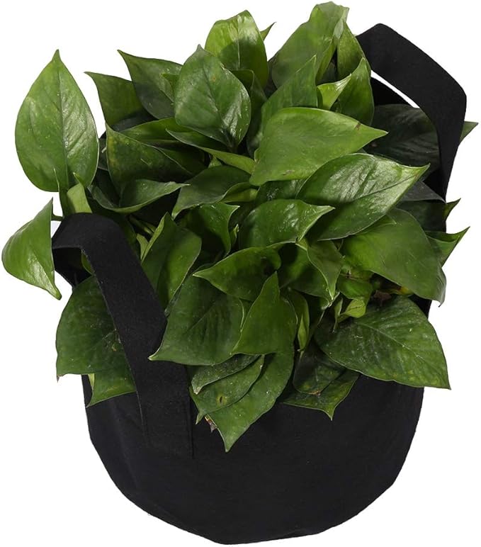 Plant Grow Bag, 1/2/3/5/7/10 Gallon Black Flower Plants Growing Bag, Vegetable Aeration Fabric Planting Pot Container with Handles for Indoor Outdoor Nursery Garden Planting (25 x 30 cm (5 Gallons))