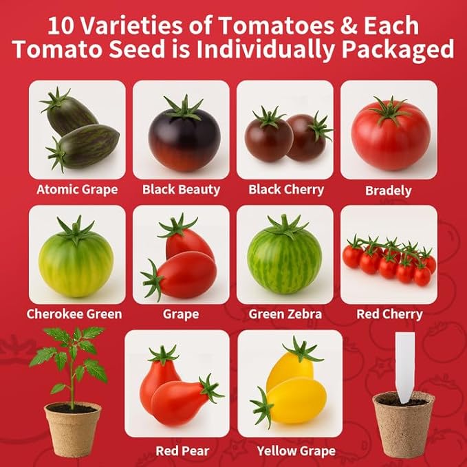 10 Pack Tomato Seeds for Planting - Heirloom Tomato Seeds for Indoor Outdoor Gardening - Natural Soil Disc, Pulp Cup, Plant Markers & Tools - Non GMO Vegetable Seed Set for Starter