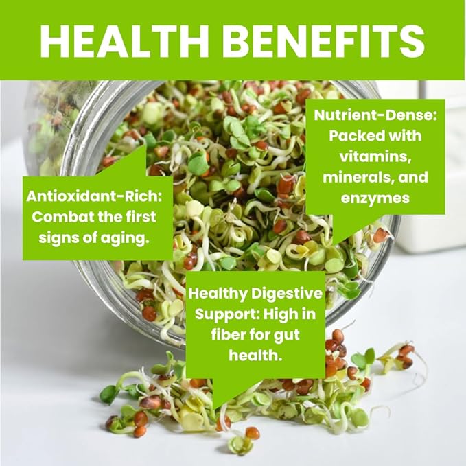 ZestiGreens Fresh Sprouting Seeds Mix (16oz), Fresh Salad Blend - USA Grown Microgreens Mix with Alfalfa, Broccoli, Radish, Mung Bean & Lentil - Over 80,000 Seeds