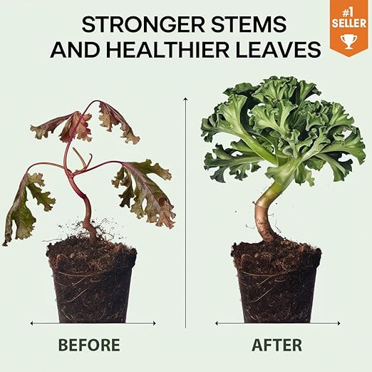 𝐏𝐑𝐄𝐌𝐈𝐔𝐌 Liquid Silica Plant Supplement - 8oz (250mL) - DIEFFENBACHIA Plants Liquid Silica Boost Fertilizer - Stronger Stems & Healthy Leaves for Indoor & Outdoor Plants (Makes 45 Gallons)