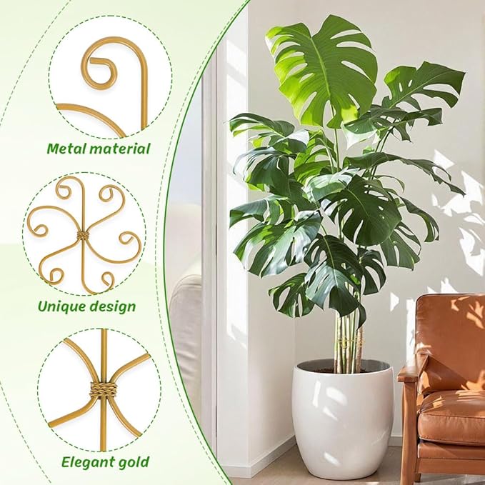 Iron Monstera Support, 3 PCS Plant Stem Support Plant Support Stakes for Indoor Plants and Flowers Stable Plant Stakes and Supports Turtle Shell Bamboo Clamp Set for Thriving Growth