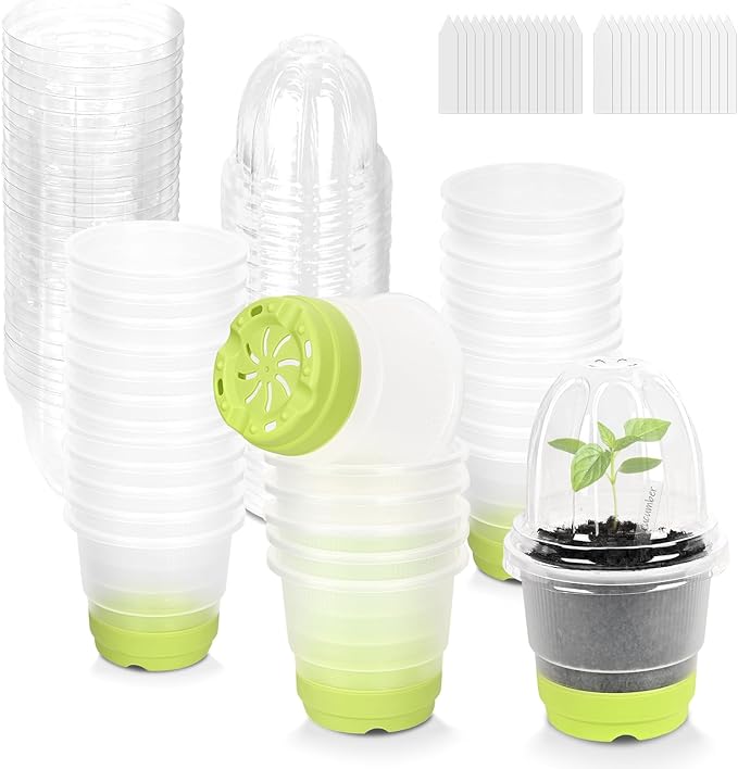 Sckee Clear Nursery Pots for Plants, 30 Packs Plastic Seed Starting Pots with Drainage Holes Plant Nursery Pots Silicone Base (Light Green, 4 inch with lids)