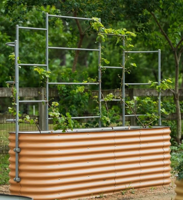 Vego Garden Modular Wall Trellis System, Triple Section 5.0' Long for 2.0' x 5.0' (4 in 1) or 3.5' x 5.0' (6 in 1) or 5.0' x 5.0' (9 in 1) Garden Beds