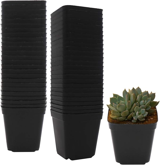 2.7 Inch Square Nursery Pots,50 Pack Sturdy & Reusable Plastic Plant Containers Starter Pot with Drainage Holes for Seedlings,Succulents & Garden Plants,Black