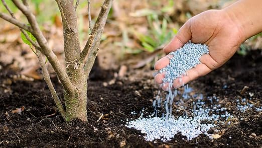 Lesco 14-14-14 Landscape and Ornamental Plant Fertilizer - 40lbs.