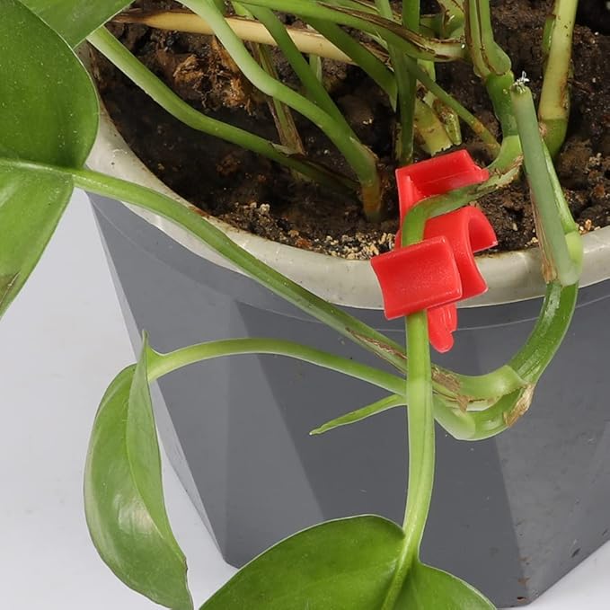 60 Pack Plant Bender Angle Adjustable Plant Training Clips Low Stress Training Clips 90 Degrees Plant Stem(Circle Style,Red)