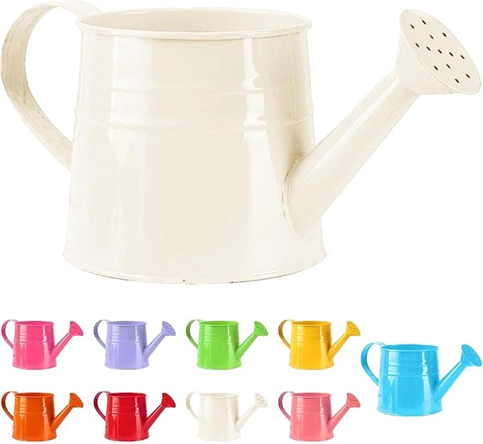 Tinplate Watering Kettle, 1L Metal Garden Watering Can, Vintage Sprinkling Can for Flowers, Indoor & Outdoor Plants, Lawn & Garden Irrigation Tool (White)